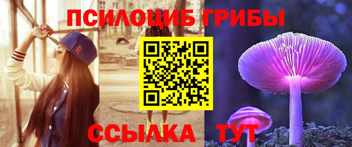 Галлюциногенные грибы Cubensis  Вход с VPN  Псилоцибиновые грибы GOLDEN TEACHER  Губаха 