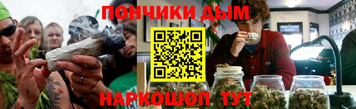 Каннабис сатива Губаха